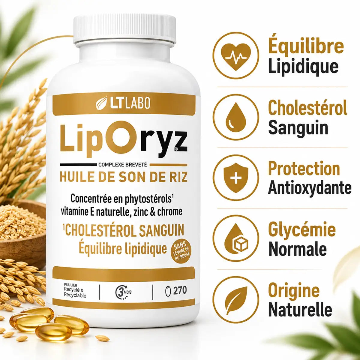 Liporyz 270 capsules huile son riz régule cholestérol LT Labo bénéfices santé