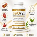 Liporyz 270 capsules huile son riz régule cholestérol santé cardiaque avec icônes bénéfices