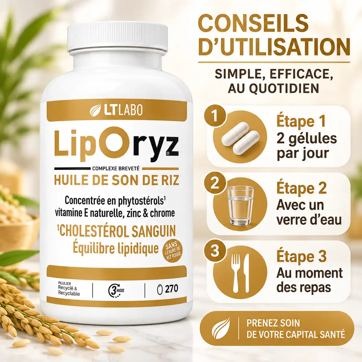 Liporyz 270 capsules huile son riz cholestérol mode utilisation 2 gélules par jour