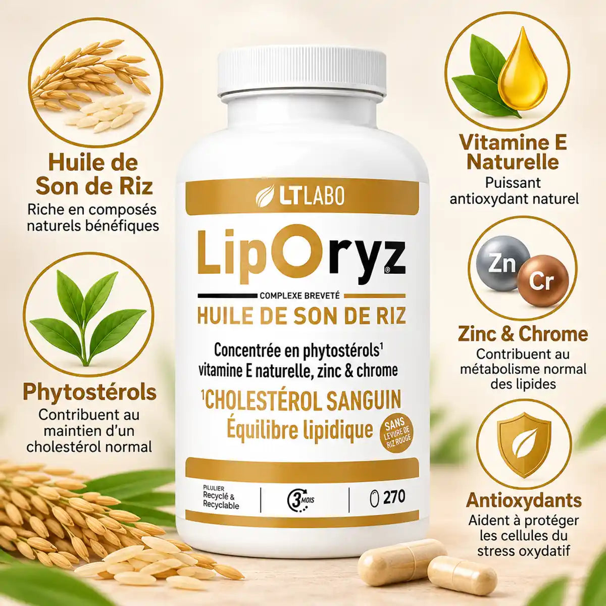 Liporyz 270 capsules huile de son de riz avec phytostérols et vitamine E naturelle pour réguler le cholestérol