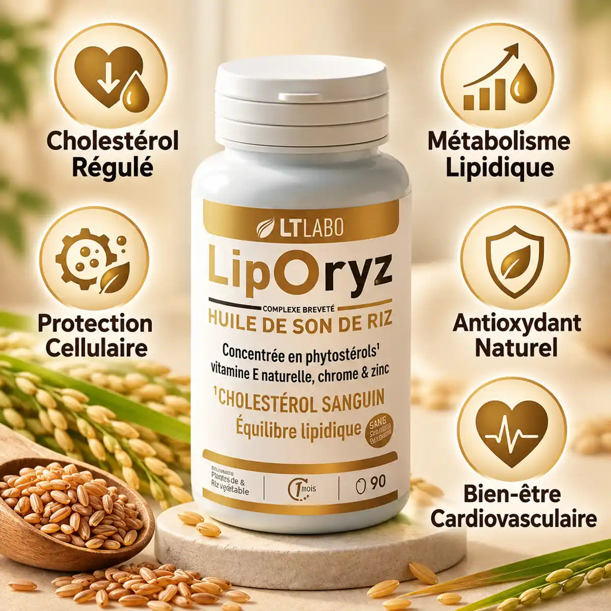 Liporyz 90 capsules huile son de riz régulation cholestérol bénéfices santé cardiovasculaire