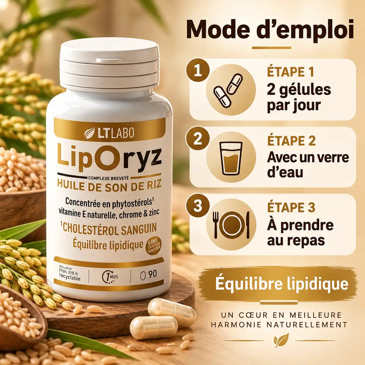 Liporyz 90 capsules huile son de riz mode d'emploi 2 gélules par jour cholestérol