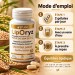 Liporyz 90 capsules huile son de riz mode d'emploi 2 gélules par jour cholestérol