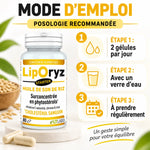 Liporyz Starter 80 capsules LT Labo - Mode d'emploi posologie 2 gélules par jour avec eau