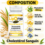 Liporyz Starter 80 capsules LT Labo avec composition phytostérols huile riz vitamine E chrome zinc cholestérol
