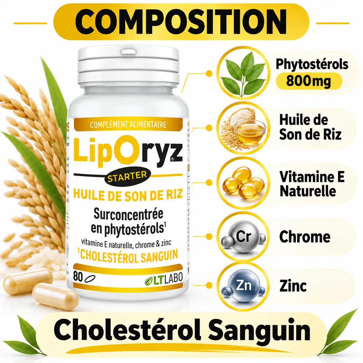 Liporyz Starter 80 capsules LT Labo avec composition phytostérols huile riz vitamine E chrome zinc cholestérol