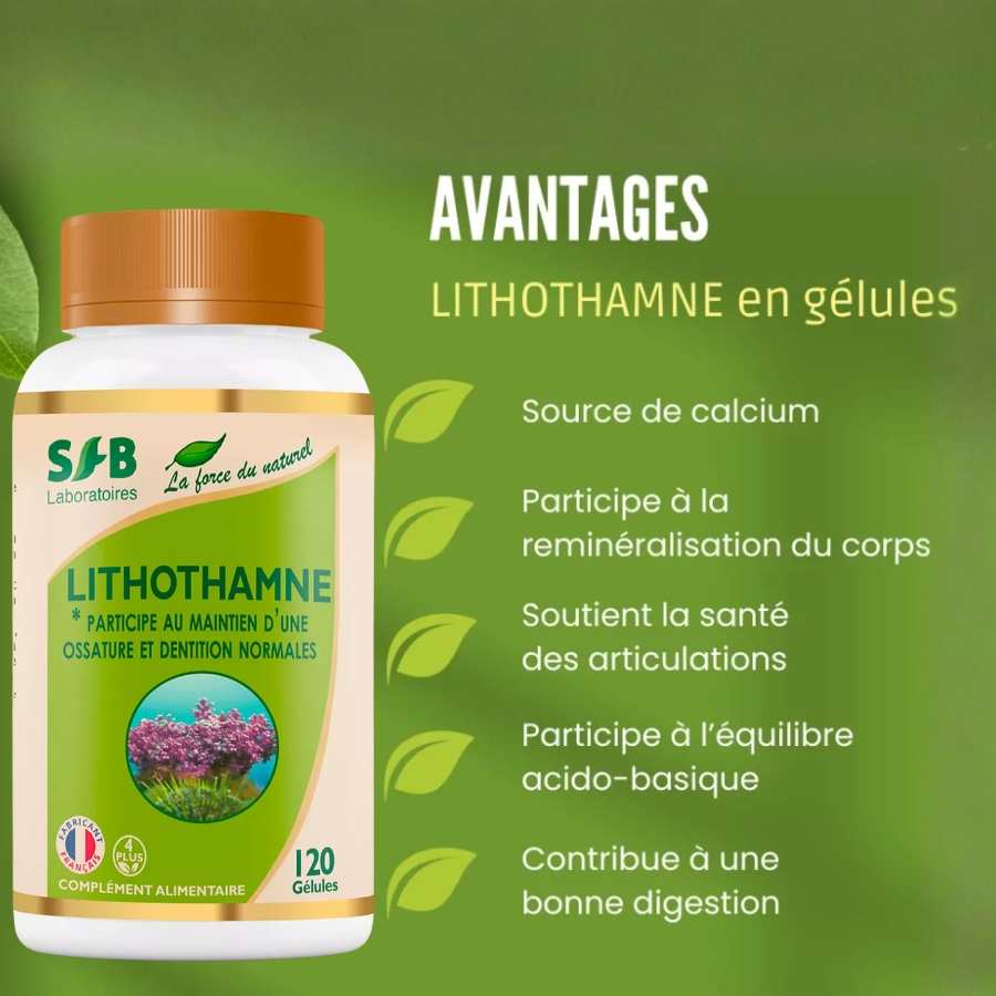 Les bienfaits du lithothamne en gélules de la marque SFB