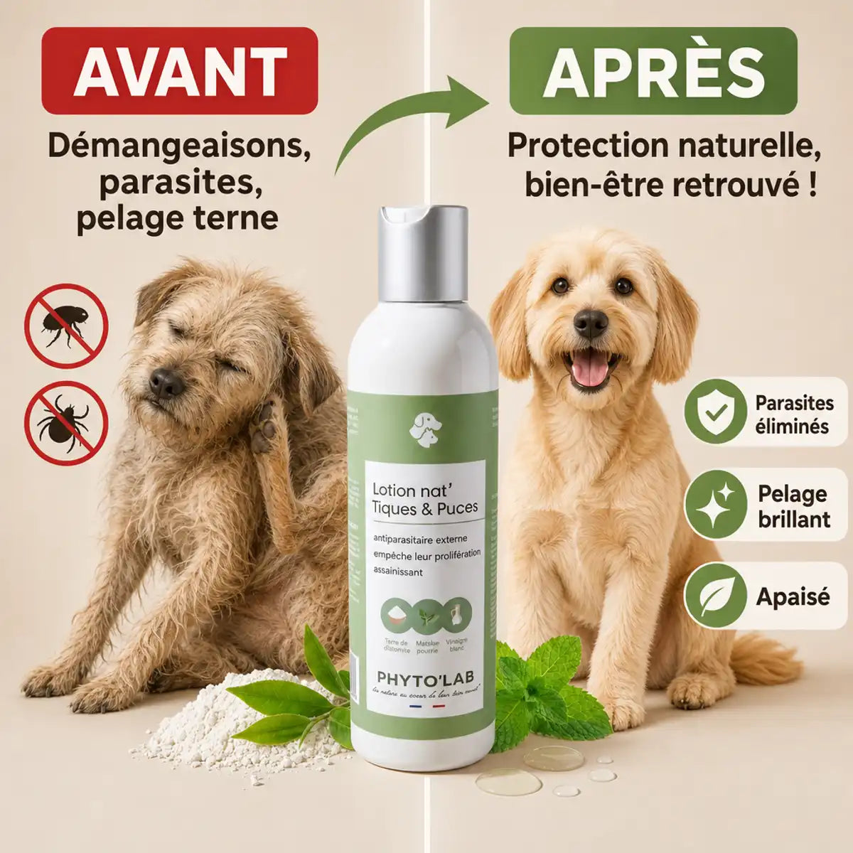 Lotion Nat'Tiques & Puces Phyto'Lab avant-après : chien soulagé des parasites, pelage brillant et sain