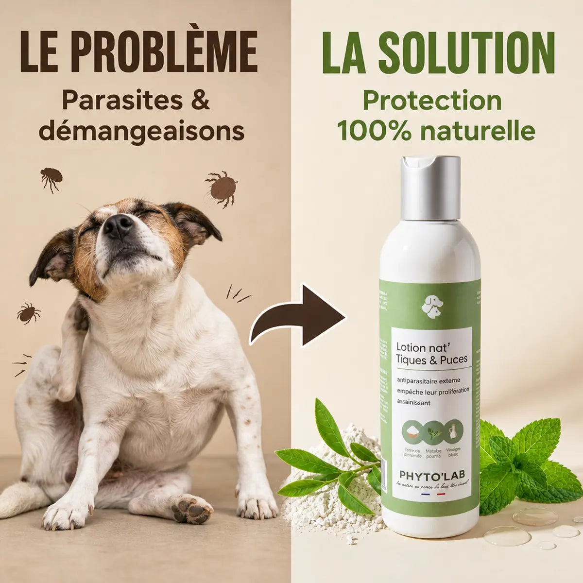 Lotion anti-puces et tiques naturelle Phyto'Lab 250ml - solution efficace pour chien et chat