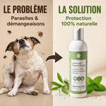 Lotion anti-puces et tiques naturelle Phyto'Lab 250ml - solution efficace pour chien et chat