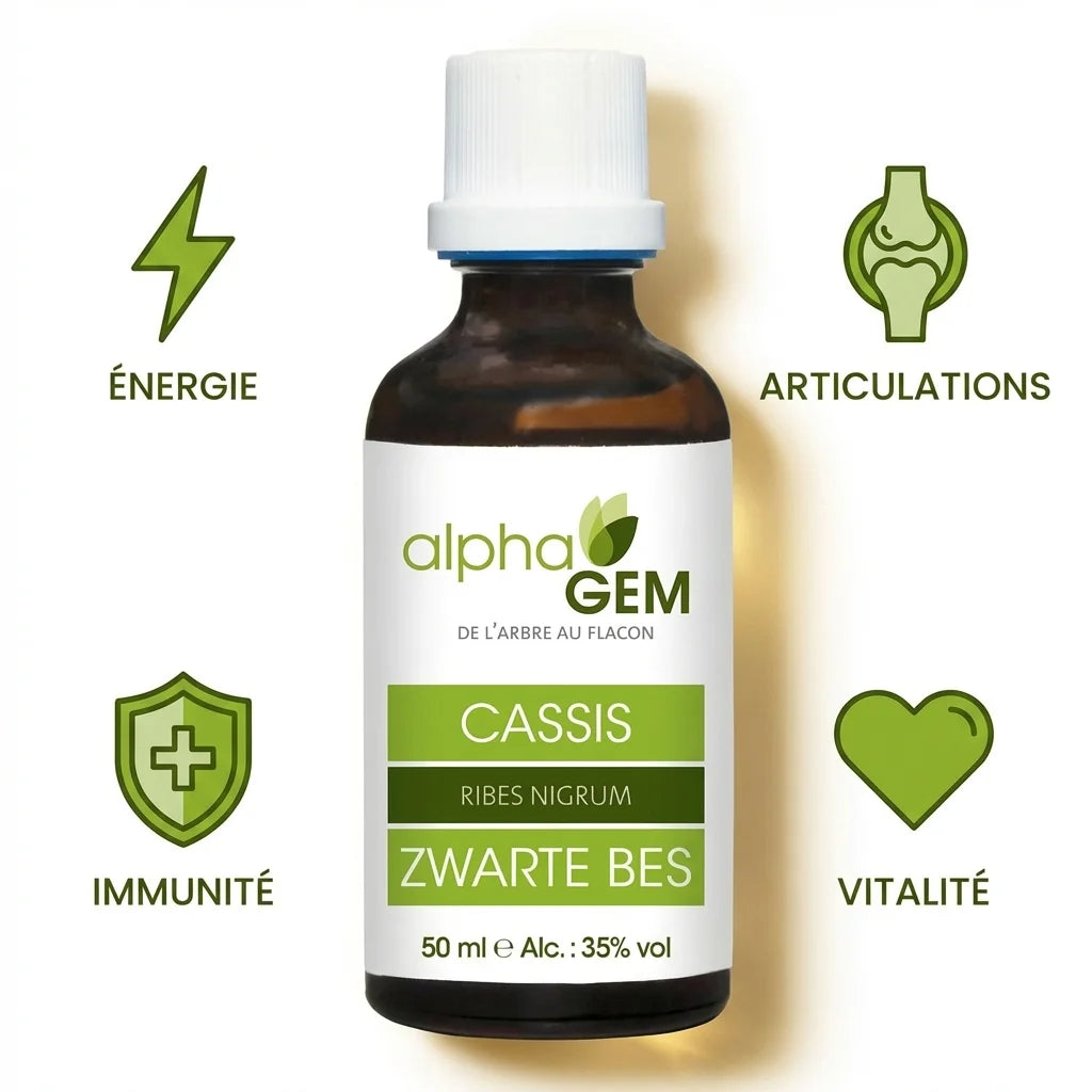 Macérat de Bourgeon de Cassis Bio 50ml avec icônes bénéfices : Énergie, Articulations, Immunité, Vitalité