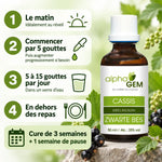 Macérat de bourgeon de cassis bio 50 ml Alphagem, flacon en verre ambré avec pipette, et guide des 5 étapes de prise