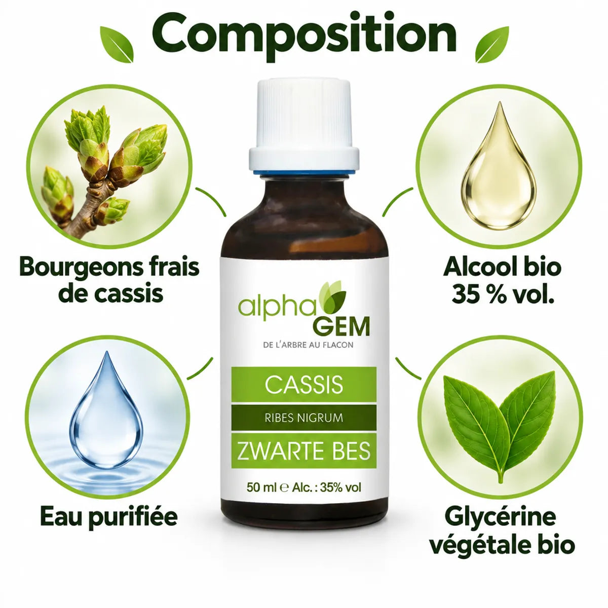 Flacon en verre ambré de macérat de bourgeon de cassis bio 50 ml Alphagem, avec infographie sur sa composition : bourgeons frais, alcool bio, eau purifiée, glycérine.