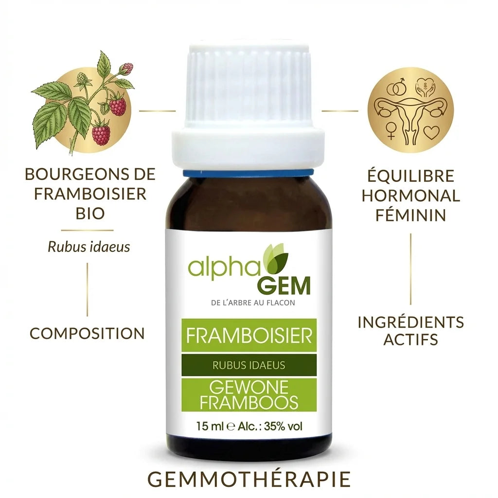 Macérat de bourgeon de Framboisier Bio Alphagem 15ml avec infographie ingrédients et illustrations botaniques