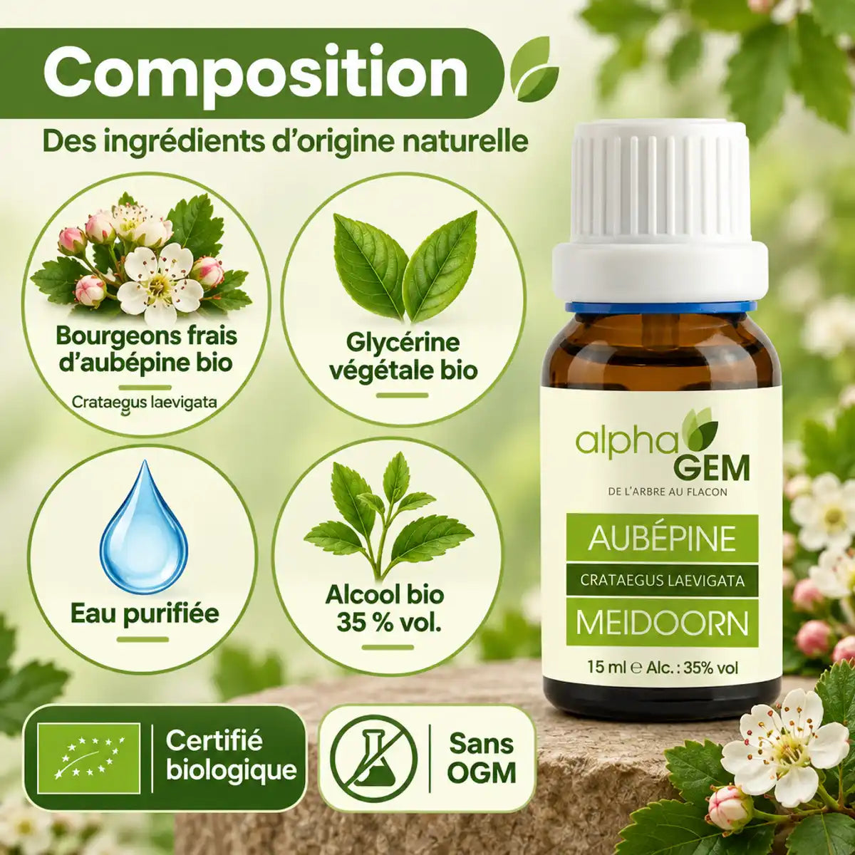 Flacon compte-gouttes ambré AlphaGem de macérat de bourgeons d'aubépine bio (Crataegus laevigata) 15 ml, avec infographie de composition