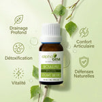 Macérat de bourgeons de Bouleau Bio Alphagem 15ml avec bénéfices drainage détoxification vitalité