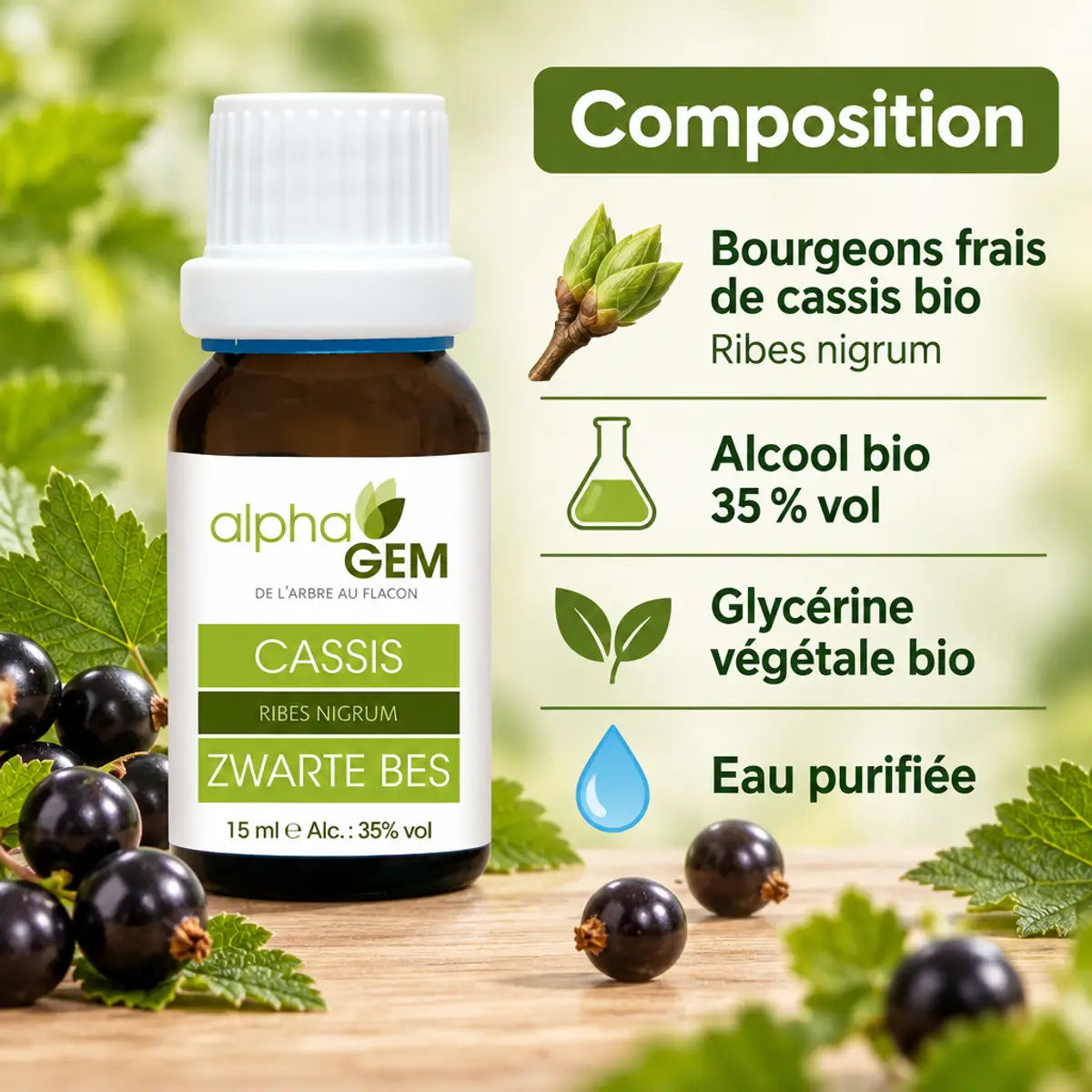 Flacon ambré de macérat de bourgeons de cassis bio Alphagem 15 ml, à côté d'une infographie sur la composition : bourgeons de cassis, glycérine et alcool bio.