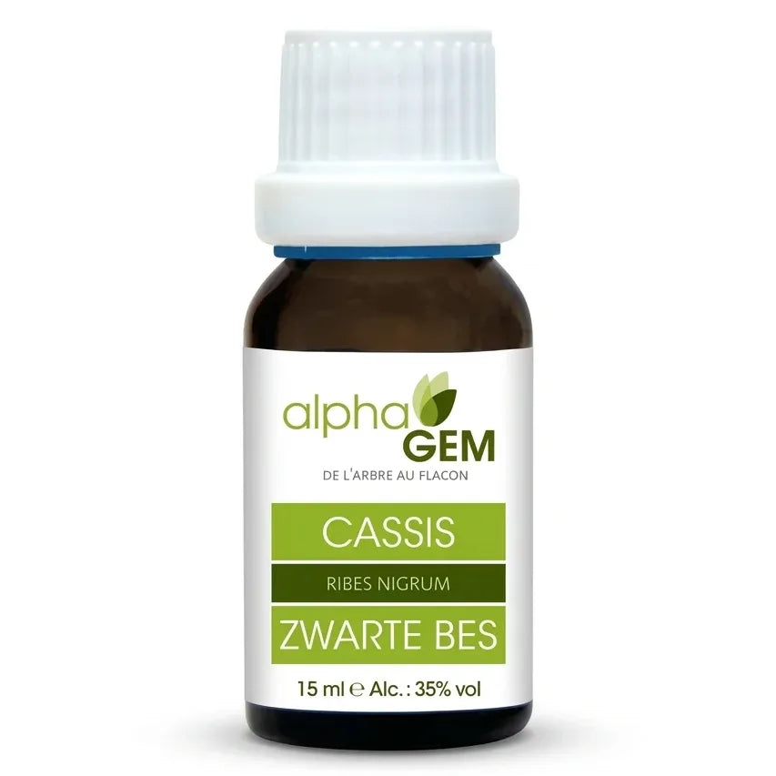 Macérat de bourgeons de cassis bio Alphagem 15ml en flacon verre