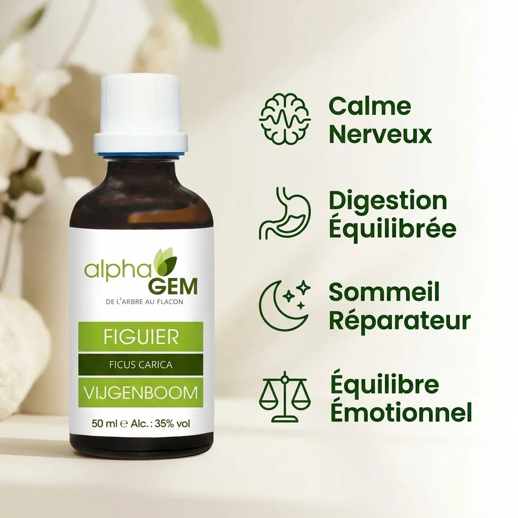 Macérat bourgeons Figuier Bio 50ml Alphagem avec bénéfices bien-être calme digestion sommeil