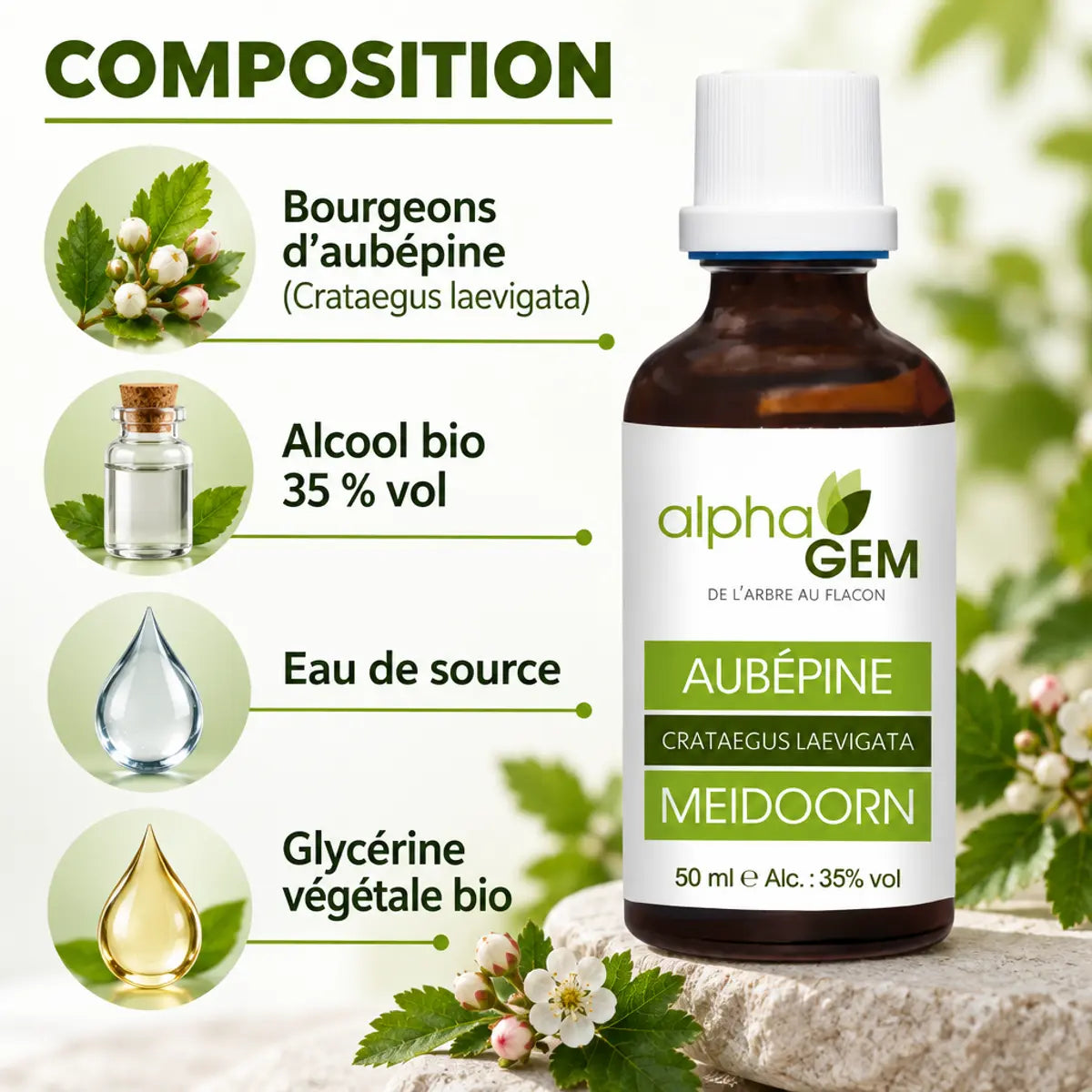 Flacon en verre ambré de macérat de bourgeons frais d'aubépine bio Alphagem 50 ml, avec sa liste de composition : aubépine, alcool bio, eau et glycérine.