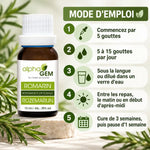 Flacon 15 ml de macérat de romarin bio Alphagem avec mode d'emploi en 5 étapes sur fond vert clair