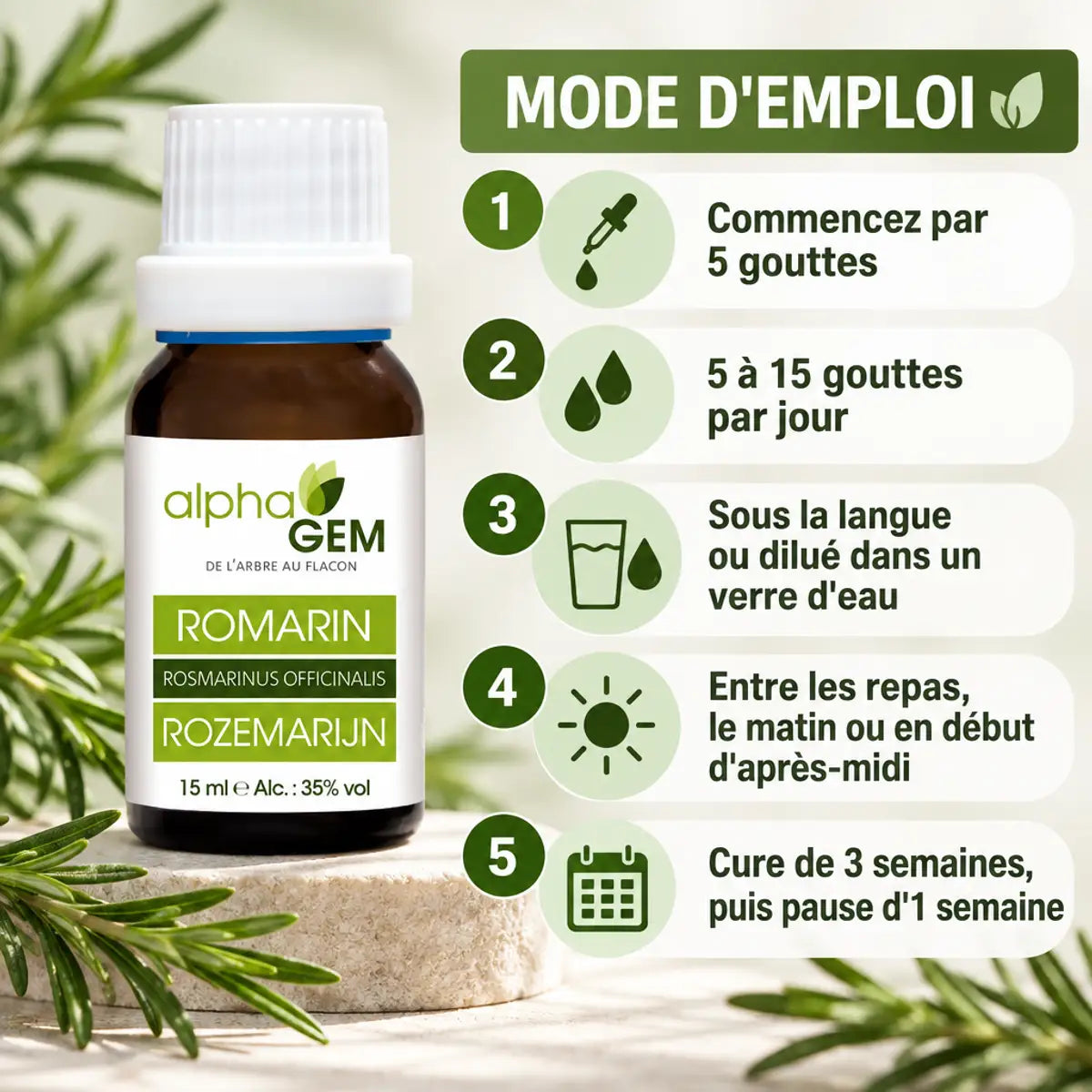 Flacon 15 ml de macérat de romarin bio Alphagem avec mode d'emploi en 5 étapes sur fond vert clair