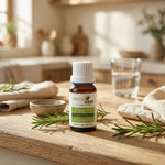 Flacon compte-gouttes en verre ambré de macérat de romarin bio Alphagem 15 ml, posé sur un plan de travail en bois avec branches de romarin frais