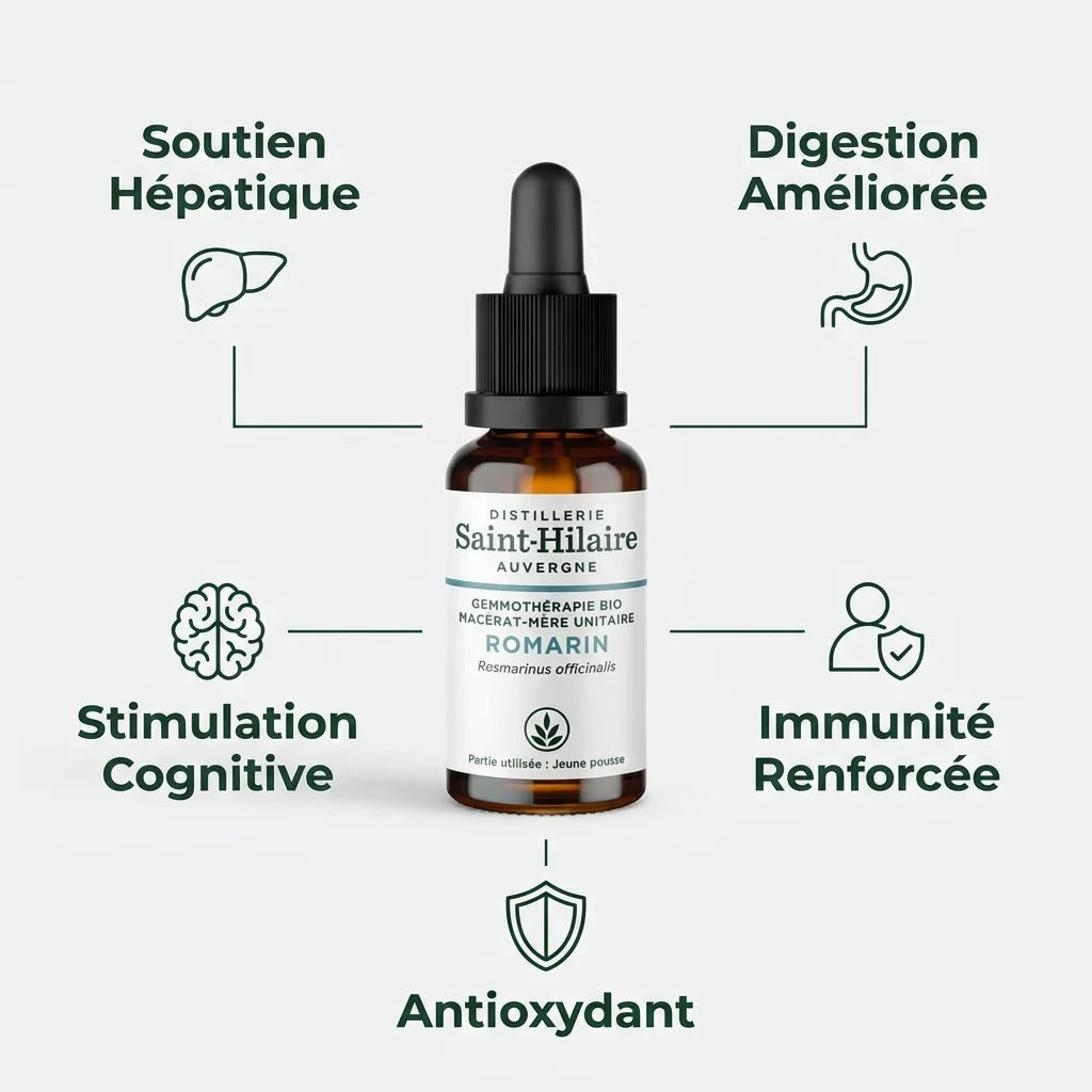 Macérât de Romarin Bio Saint Hilaire 30ml avec 5 bénéfices : soutien hépatique, digestion, antioxydant, cognition, immunité