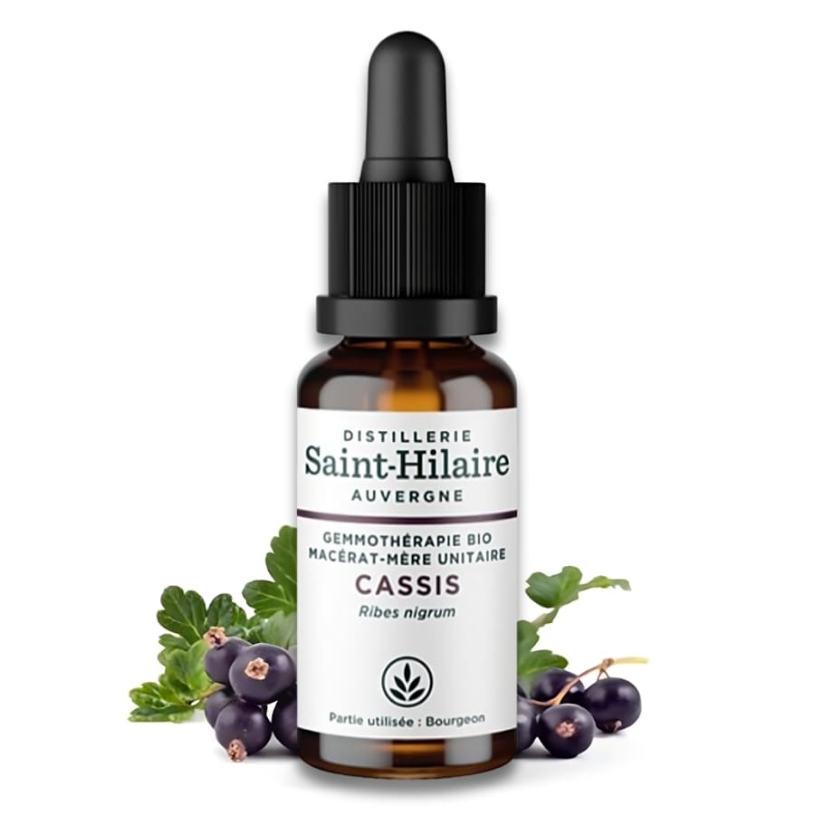 Un flacon de macérât de bourgeons de cassis bio de 30ml de la distillerie Saint-Hilaire.
