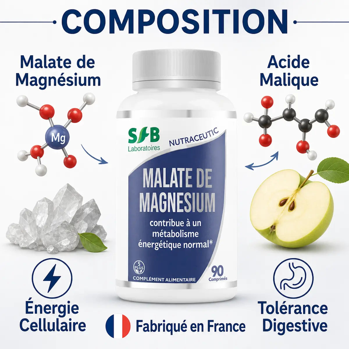Malate de magnésium SFB Laboratoires 90 comprimés avec composition et bénéfices pour l'énergie cellulaire
