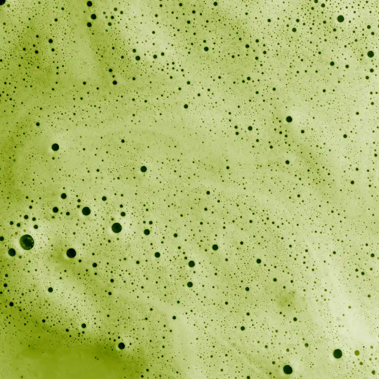Zoom sur la mousse de la boisson Matcha Latte bio nüMorning 