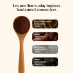 Les meilleurs adaptogènes hautement concentrés