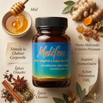 Melifeu 170g miel et plantes médicinales pour l'hiver - Jade Recherche