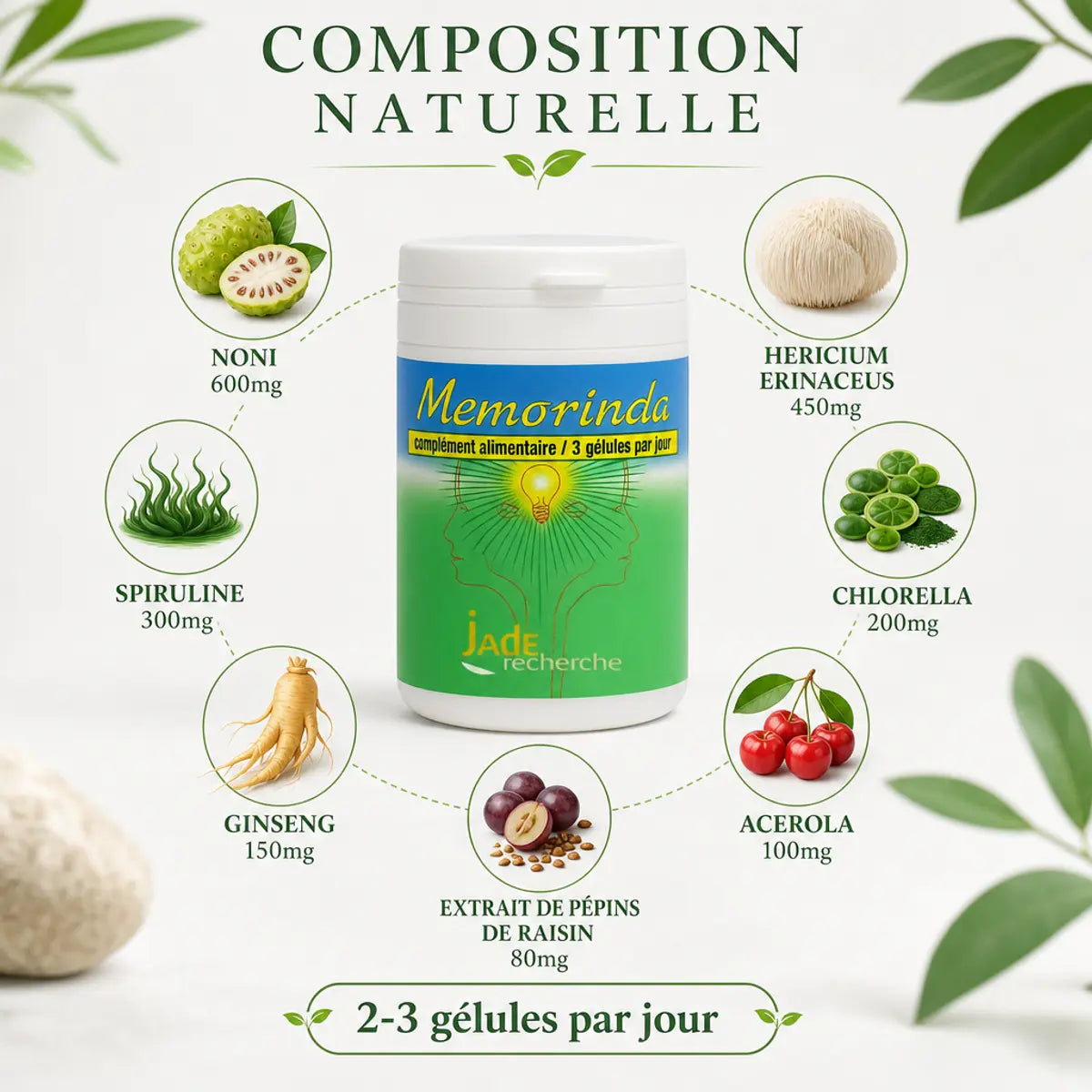 Memorinda complément mémoire concentration avec ingrédients naturels Noni Hericium Spirulina dosages
