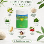 Memorinda complément mémoire concentration avec ingrédients naturels Noni Hericium Spirulina dosages
