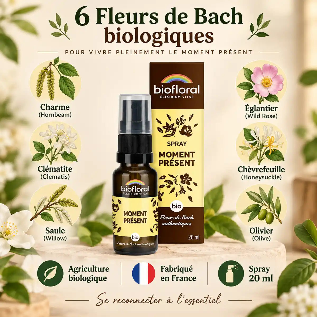 Spray Moment Présent Biofloral 20ml avec 6 fleurs de Bach biologiques sur fond blanc minimaliste