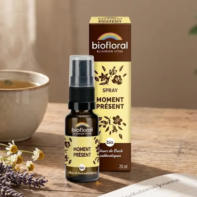 Spray Fleurs de Bach Moment Présent Biofloral 20ml sur bureau avec fleurs séchées et thé