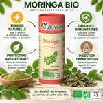 Moringa Bio 60 gélules Ayur-Vana avec bénéfices : énergie, immunité, antioxydants, digestion