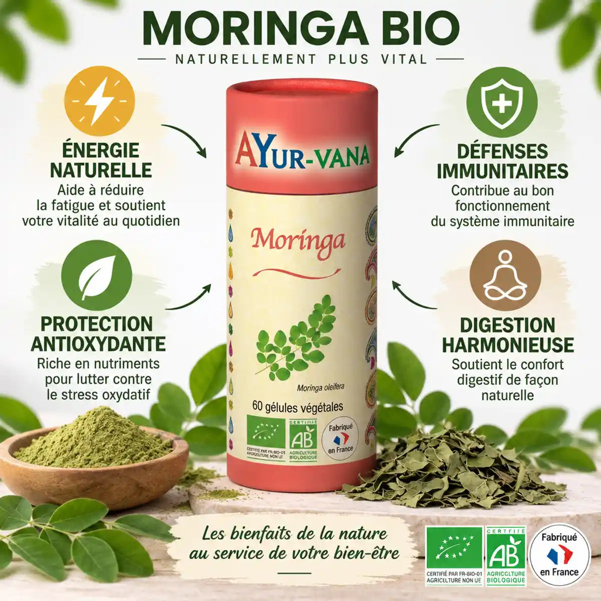 Moringa Bio 60 gélules Ayur-Vana avec bénéfices : énergie, immunité, antioxydants, digestion