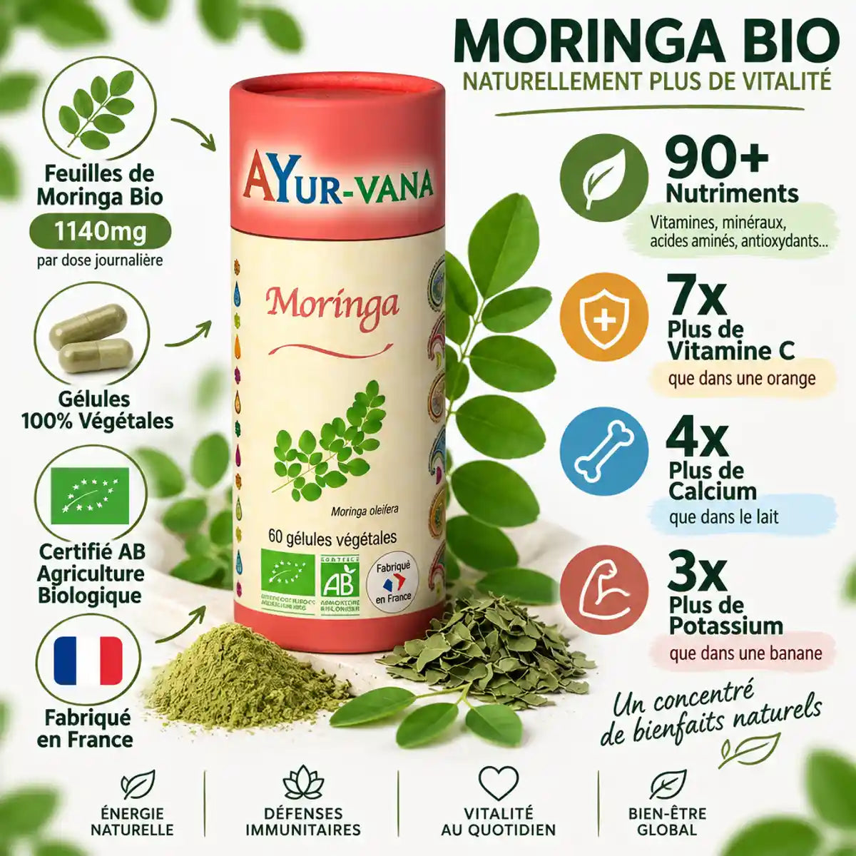 Moringa Bio 60 gélules Ayur-Vana avec feuilles, nutriments et certifications AB Agriculture Biologique