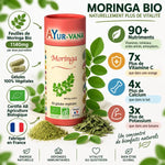 Moringa Bio 60 gélules Ayur-Vana avec feuilles, nutriments et certifications AB Agriculture Biologique