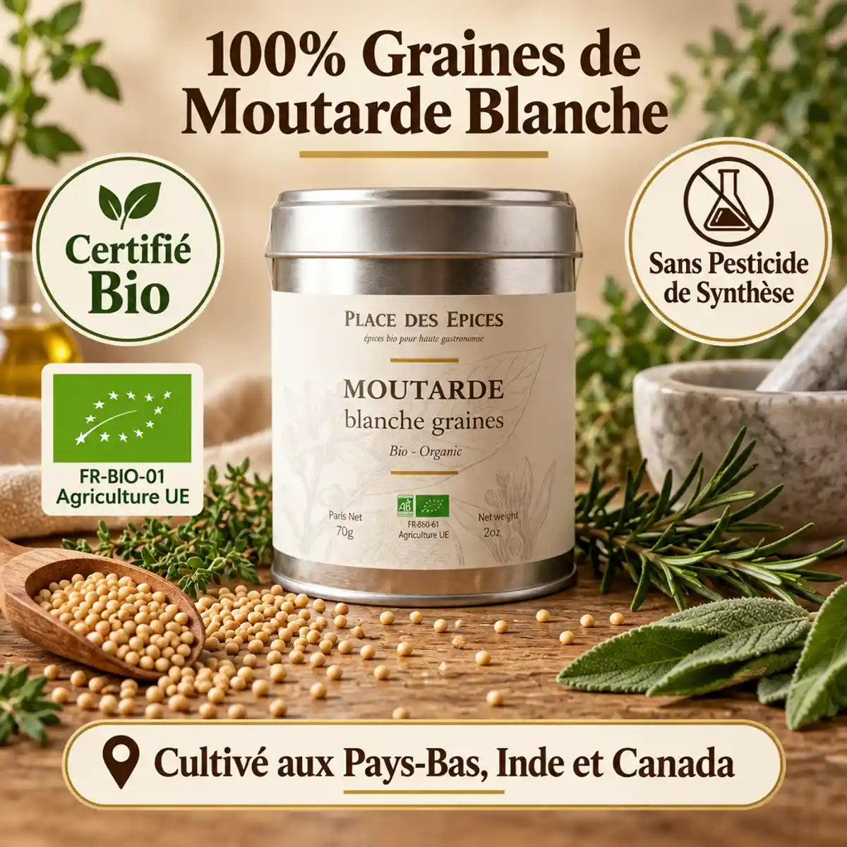 Moutarde blanche bio 70g Place des Épices, graines certifiées, herbes aromatiques et mortier en marbre