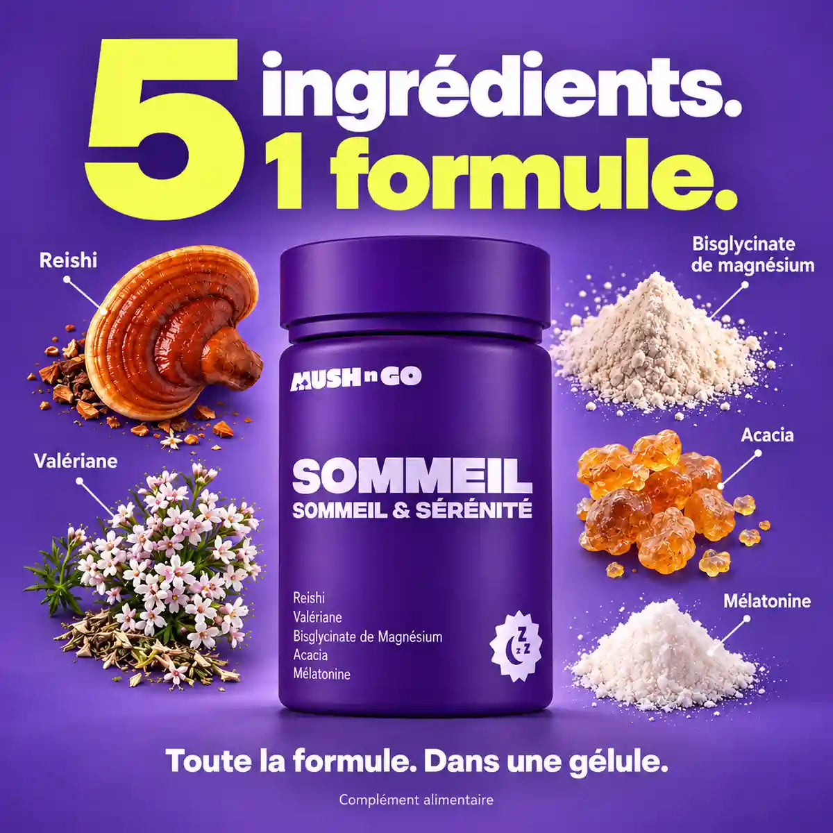 Sommeil de Mush n Go et ses 5 ingrédients : reishi, valériane, bisglycinate de magnésium, acacia et mélatonine.