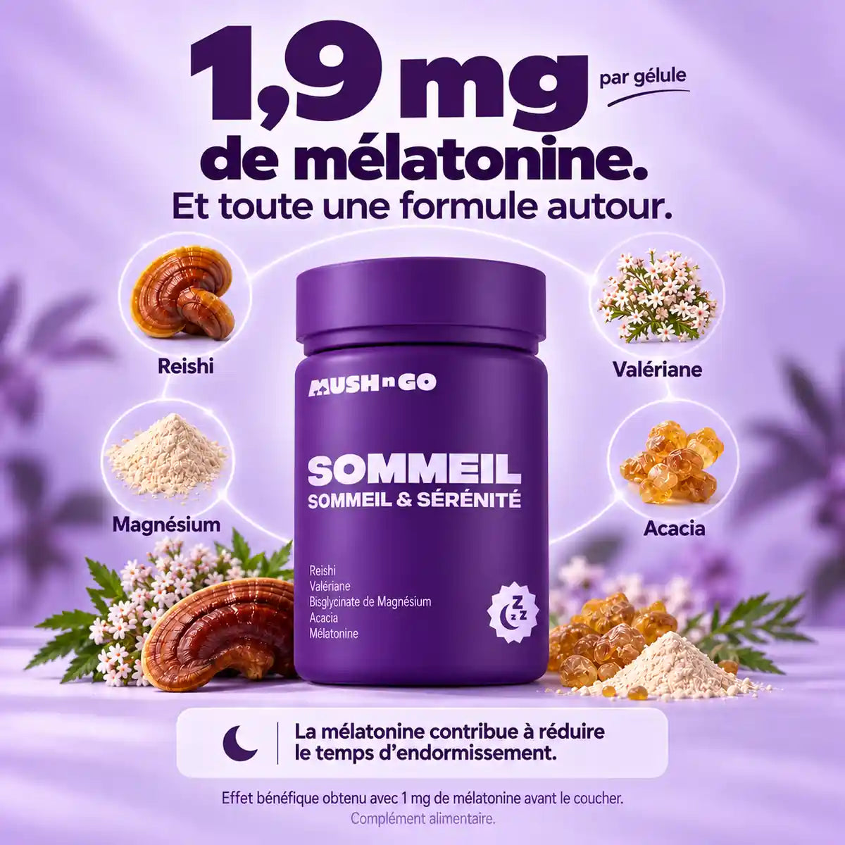 Sommeil de Mush n Go : 1,9 mg de mélatonine par gélule, associée au reishi, à la valériane, au magnésium et à l’acacia.