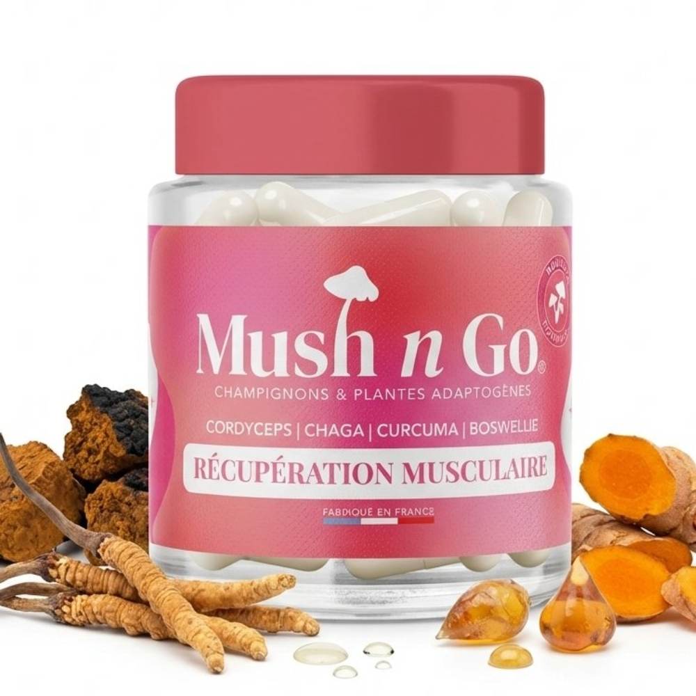 Un flacon de mushngo récupération musculaire avec les ingrédients actifs disposés autour