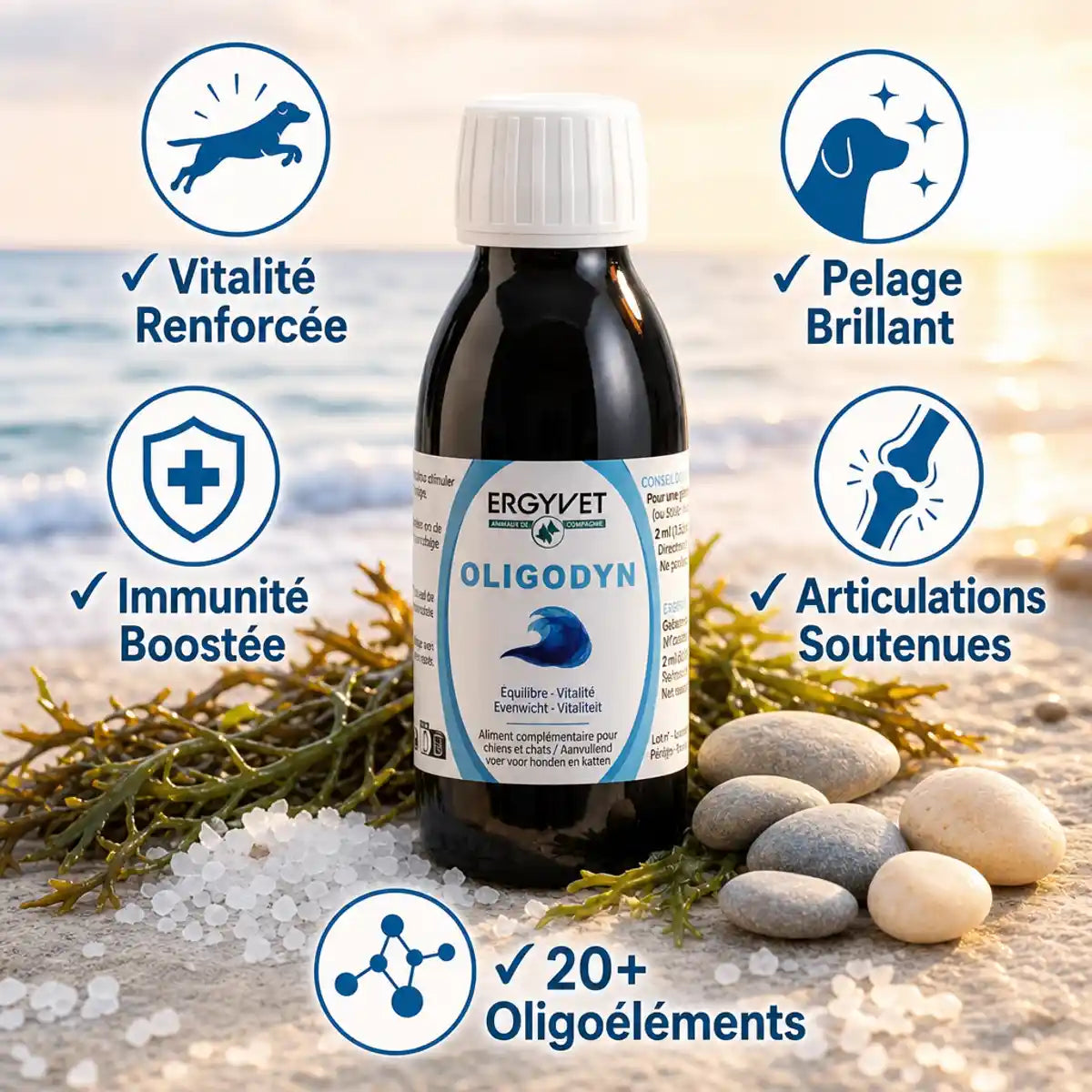 Oligodyn Ergyvet 100ml avec 5 bénéfices : vitalité, pelage brillant, immunité, articulations, oligoéléments