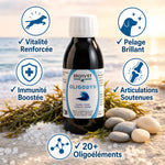 Oligodyn Ergyvet 100ml avec 5 bénéfices : vitalité, pelage brillant, immunité, articulations, oligoéléments
