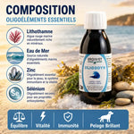 Oligodyn 100ml Ergyvet avec composition oligoéléments essentiels pour équilibre et vitalité chien chat
