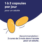La posologie recommandée pour Omega 3 Capital forme de la marque Lysi