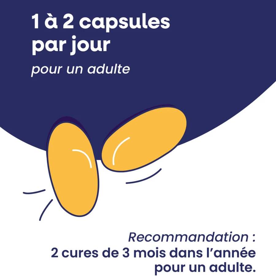 La posologie recommandée pour Omega 3 Capital forme de la marque Lysi